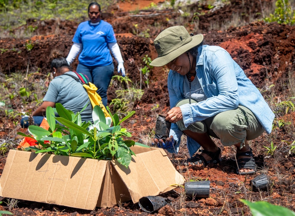 US Navy Seabees with NMCB-5 participate in a jungle restoration project