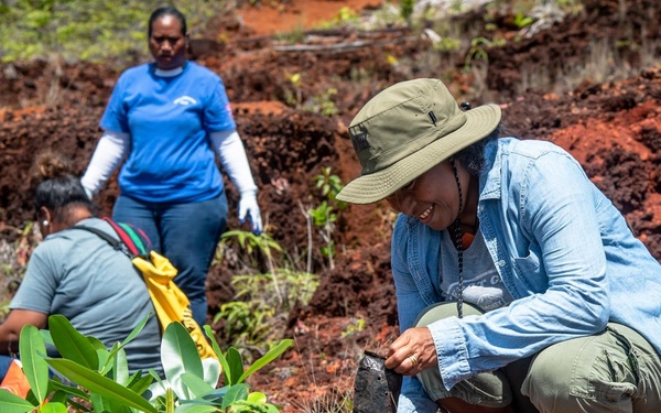 US Navy Seabees with NMCB-5 participate in a jungle restoration project