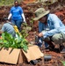 US Navy Seabees with NMCB-5 participate in a jungle restoration project