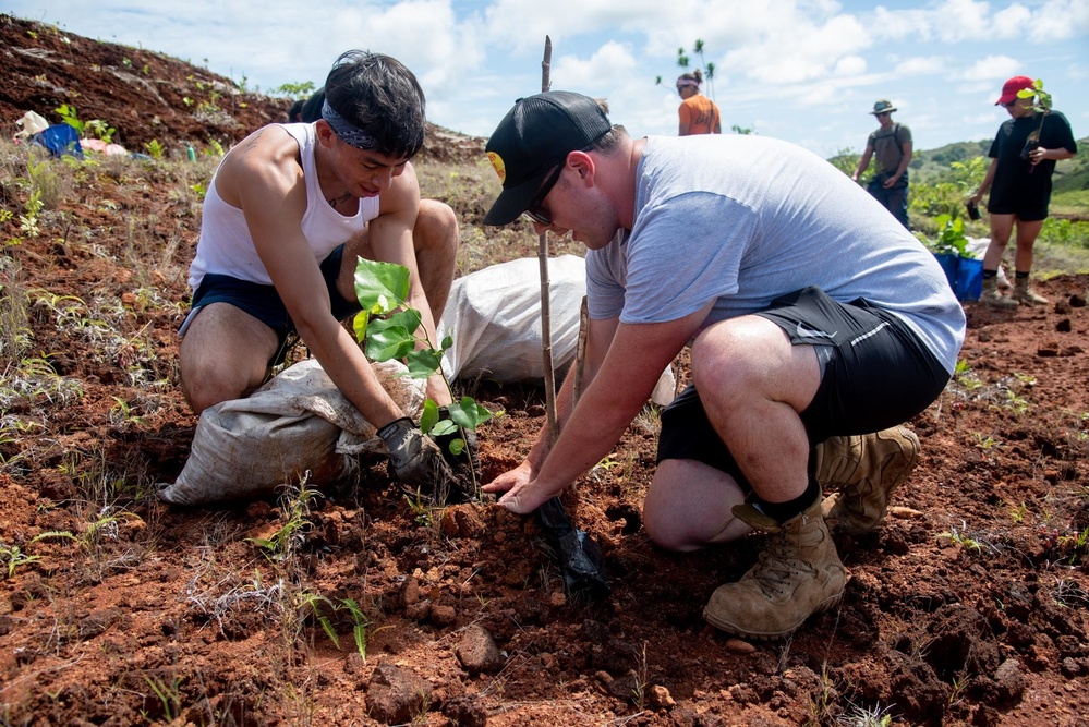 US Navy Seabees with NMCB-5 participate in a jungle restoration project