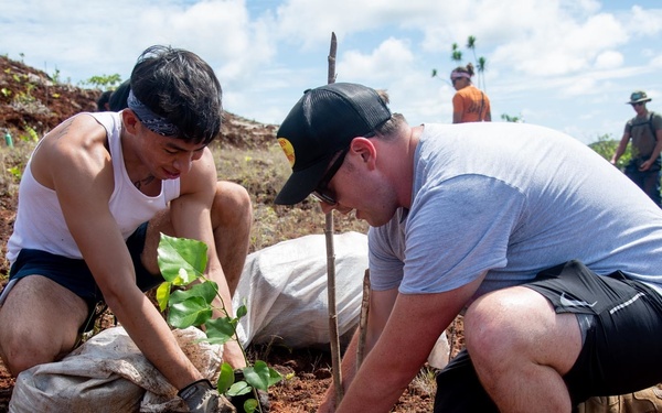 US Navy Seabees with NMCB-5 participate in a jungle restoration project