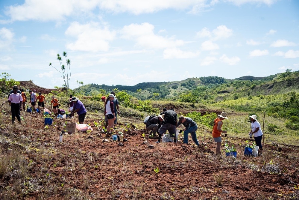 US Navy Seabees with NMCB-5 participate in a jungle restoration project