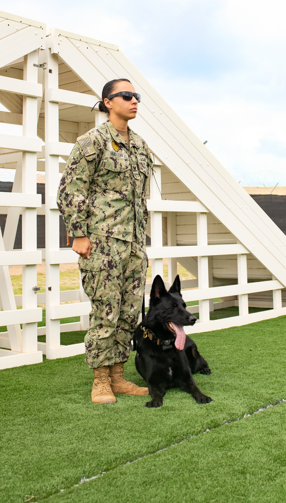 K-9 Unit Promotion at Camp Lemonnier