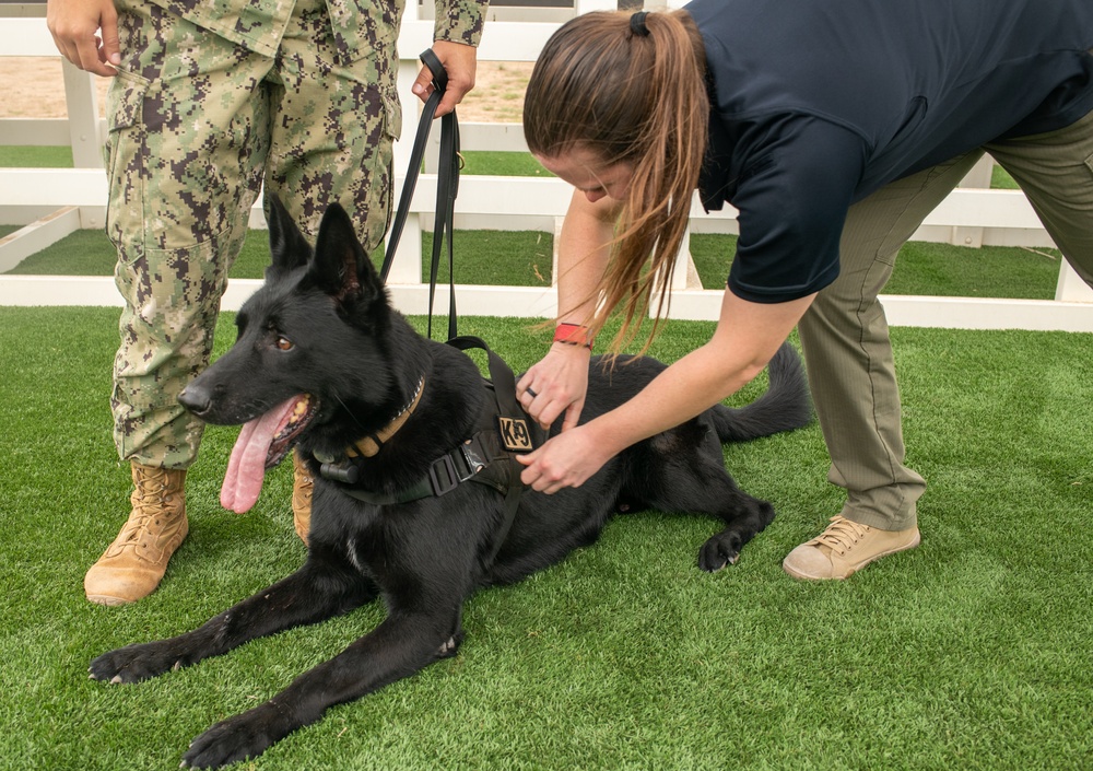 K-9 Unit Promotion at Camp Lemonnier