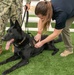 K-9 Unit Promotion at Camp Lemonnier