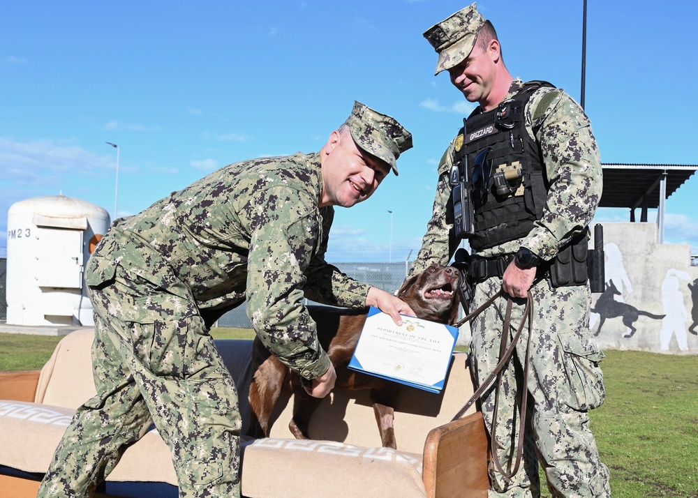 Military Working Dog Retires