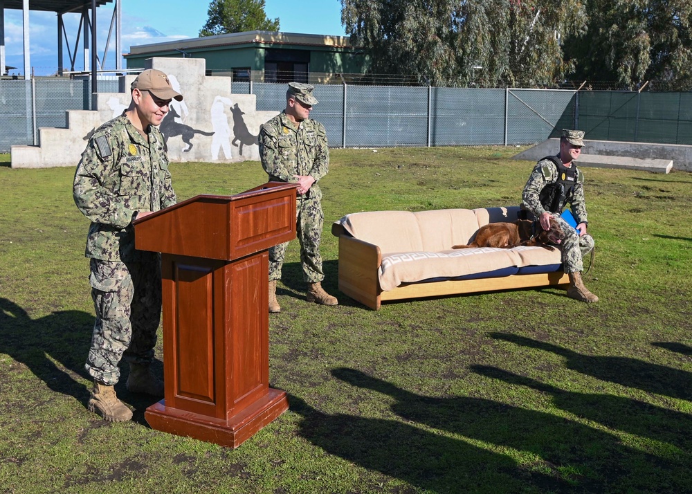 Military Working Dog Retires