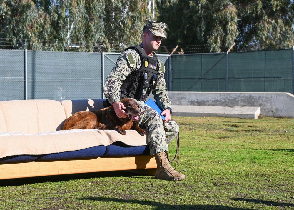 Military Working Dog Retires