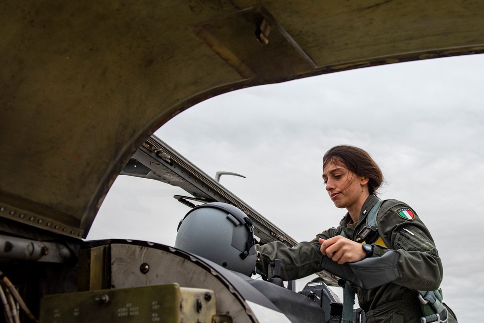 Laughlin AFB allies training and working together