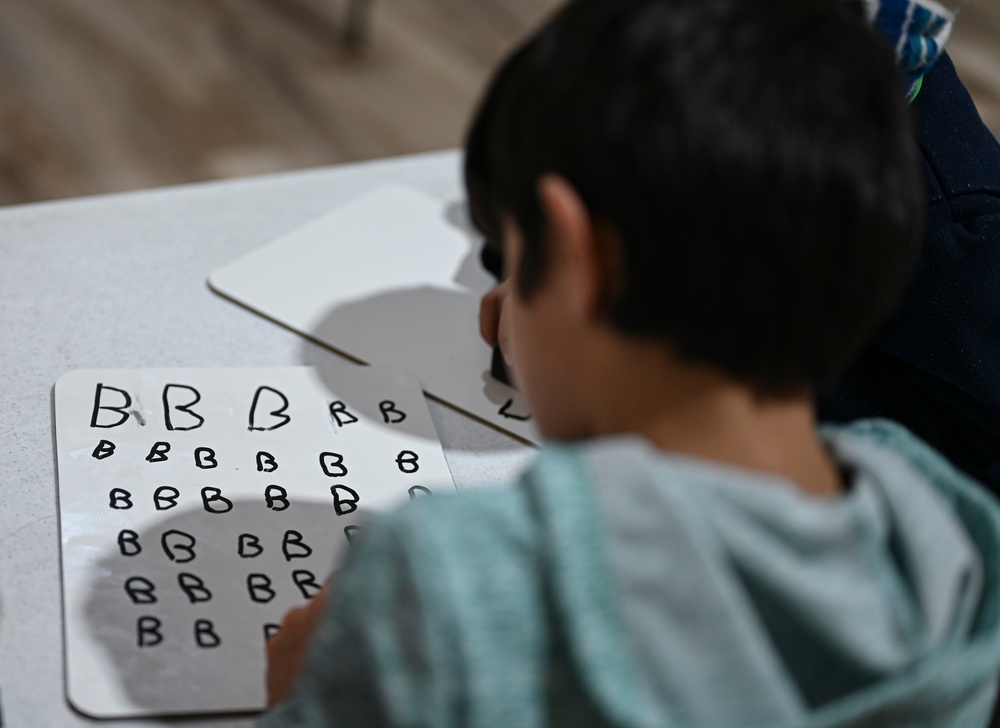 Community-based education on Task Force Liberty