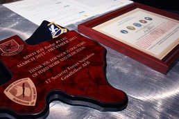 Out of the doghouse and onto the couch