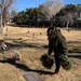 561st Network Operations Squadron Gryphons remember – Wreaths Across America