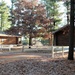 Cabins at Fort McCoy's Pine View Campground