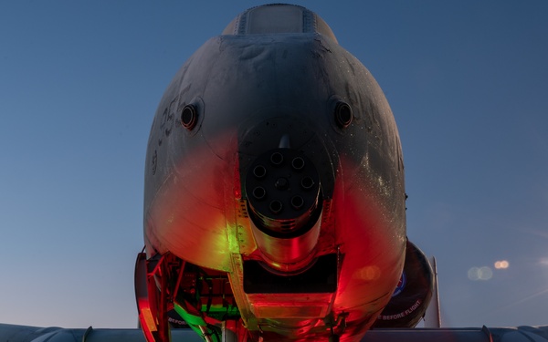 Holiday A-10 Warthog