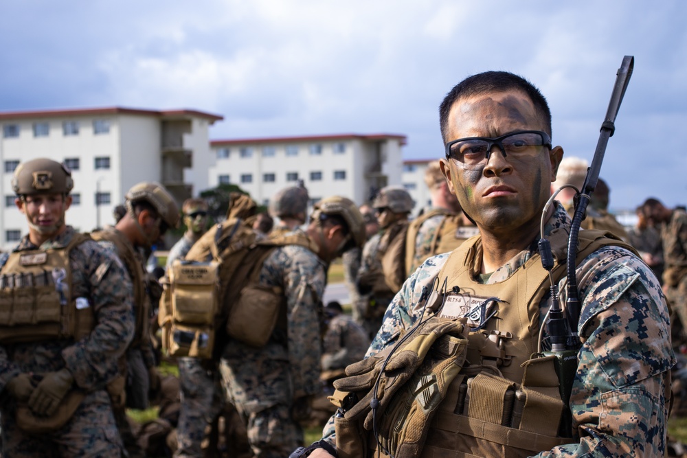 31st MEU: Pest Control