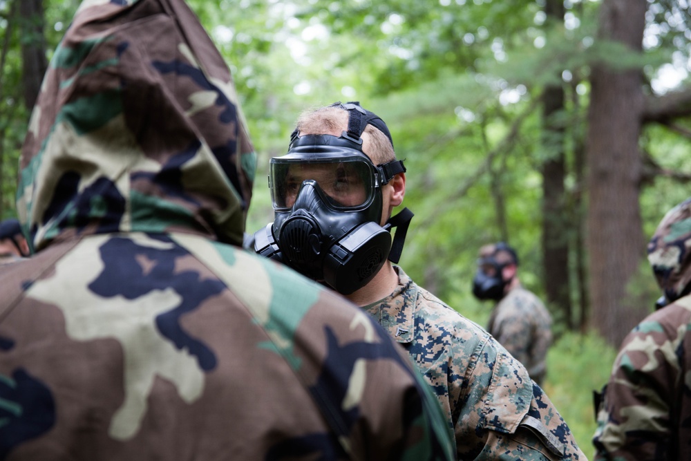 Members of 1st Battalion, 25th Marines conduct training