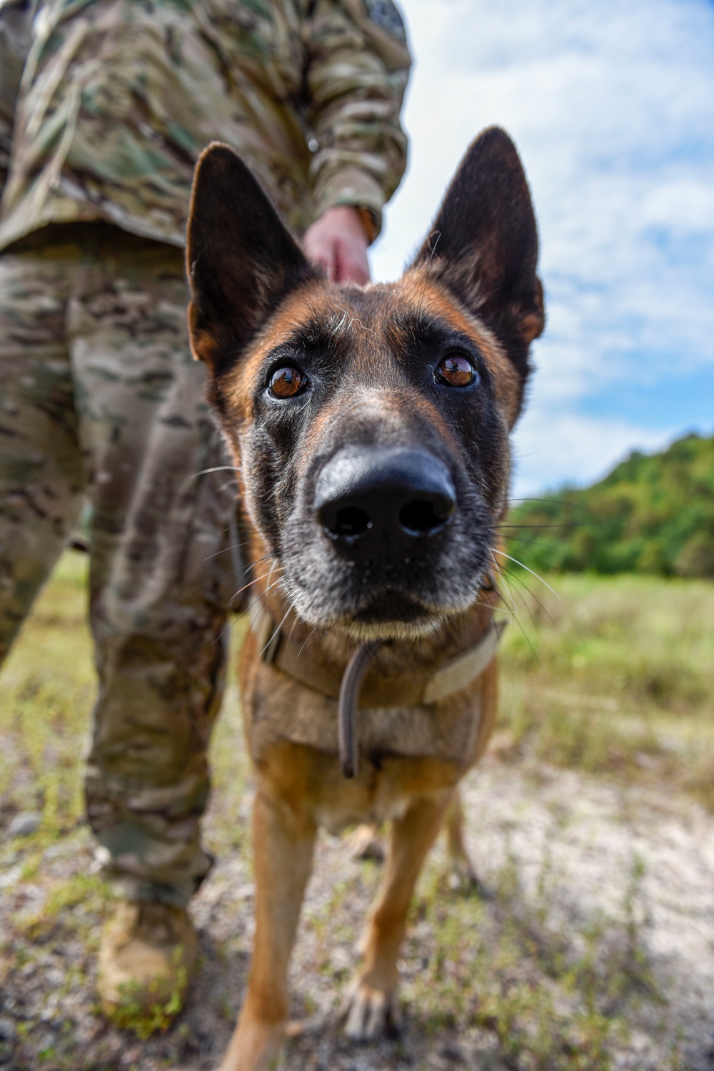 Vigilant Guard 2021 Kicks Off