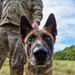 Vigilant Guard 2021 Kicks Off