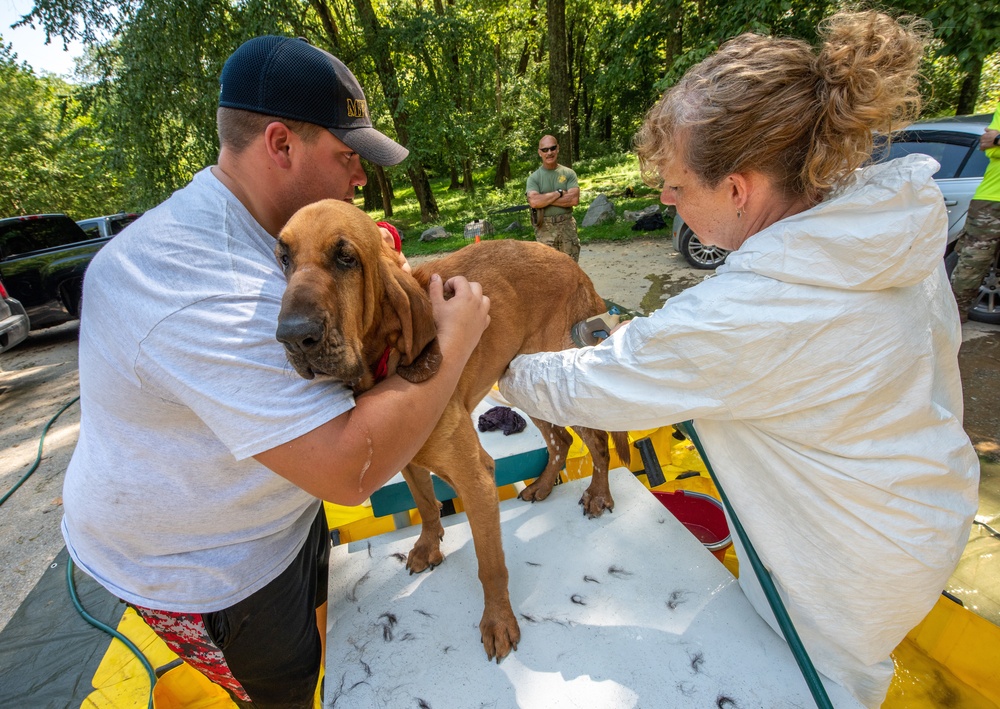 Firefighters Learn to Handle Animals in Disasters at Vigilant Guard 2021