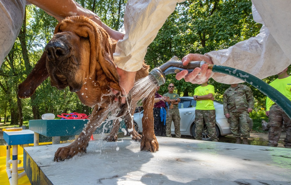Firefighters Learn to Handle Animals in Disasters at Vigilant Guard 2021