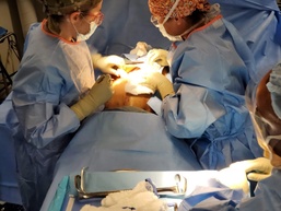 NEMTI Provides Subject Matter Expert Support to Steel Knight-22