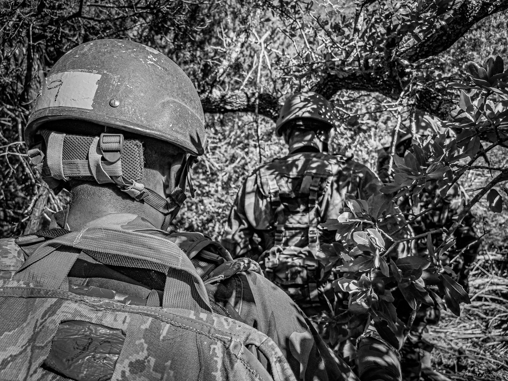 Operation Jaguar