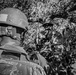 Operation Jaguar
