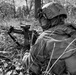 Operation Jaguar
