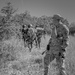 Operation Jaguar