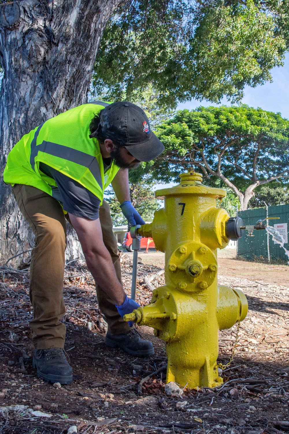 Pearl City Water Confirmation Samples