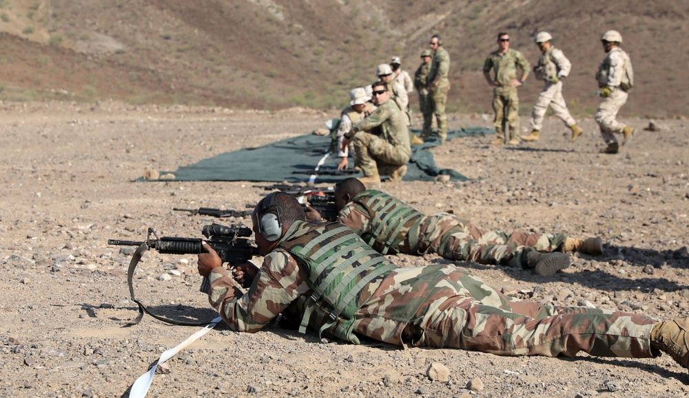 Coalition competition builds camaraderie in Djibouti