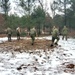 Marines practice building Arctic tent as part of CWOC Class 22-01 training