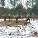 Marines practice building Arctic tent as part of CWOC Class 22-01 training