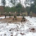 Marines practice building Arctic tent as part of CWOC Class 22-01 training