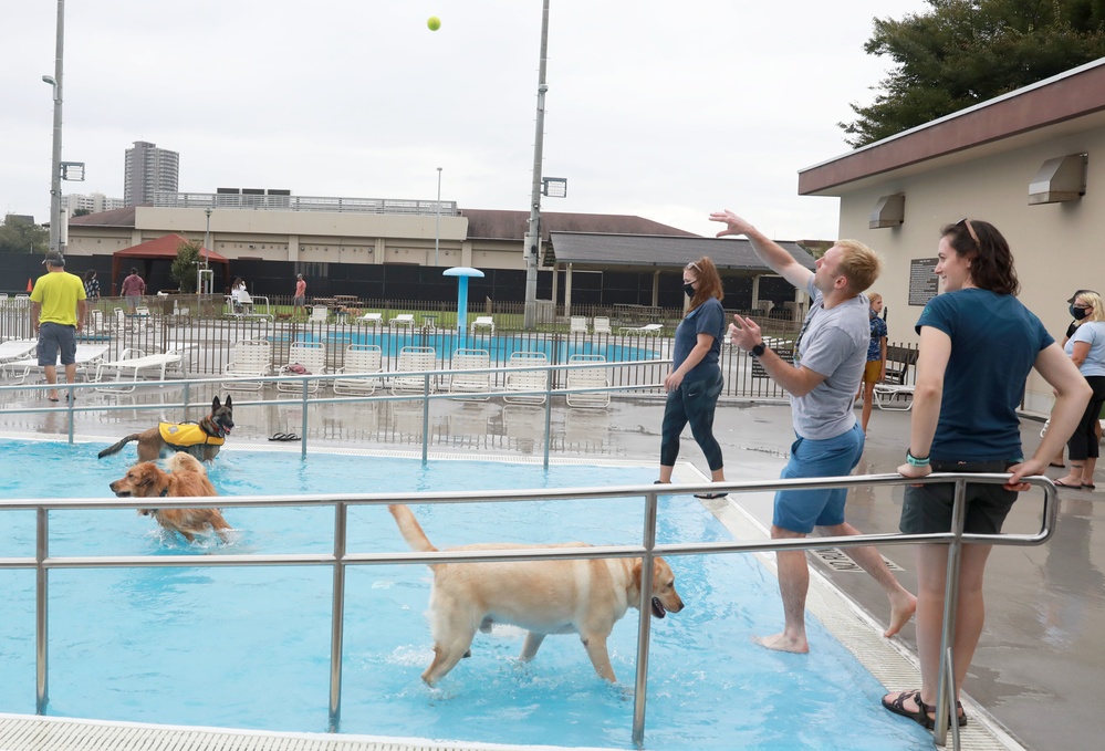 ‘Doggie Dip Day’ event lets Camp Zama, SHA canines enjoy day at outdoor pool