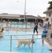 ‘Doggie Dip Day’ event lets Camp Zama, SHA canines enjoy day at outdoor pool