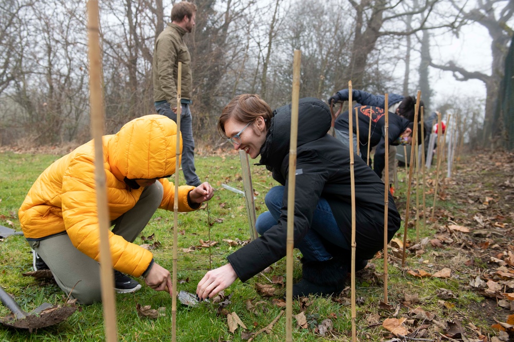 Alconbury students plant trees