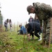 Alconbury students plant trees