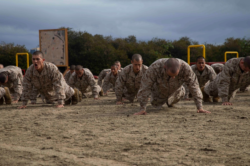 Fox Company Bayonet Assault Course and Pugil Sticks