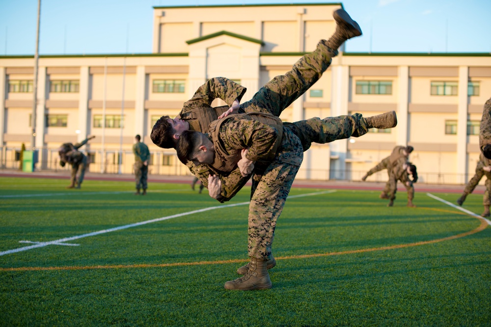 Marines with MAG-12 earn Green Belts