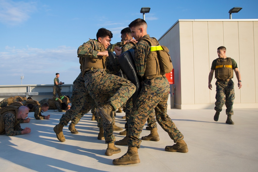 Marines with MAG-12 earn Green Belts