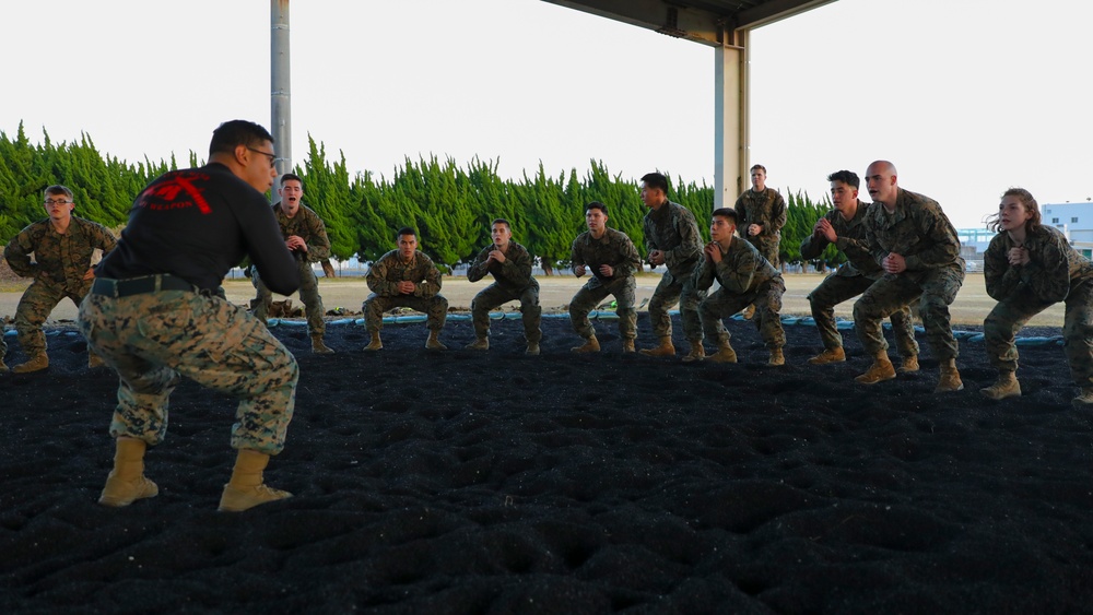 Marines with MAG-12 earn Green Belts