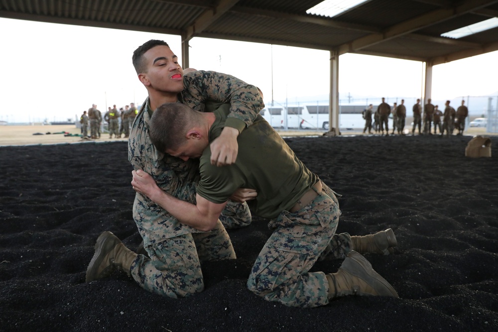 Marines with MAG-12 earn Green Belts