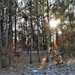 Improvised shelter building among important skills taught to Cold-Weather Operations Course Class 22-01 students