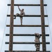 Lima Company Confidence Course