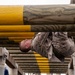 Lima Company Confidence Course