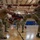 379th Security Forces Squadron FAST Training
