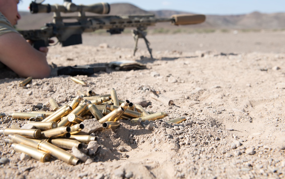 joint sniper rifle proficiency training exercise