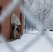 Propeller Makes a Beautiful Embellishment During Winter Storm