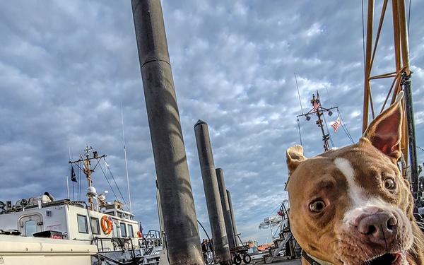 MOPIC Project - A Visit to Bayonne